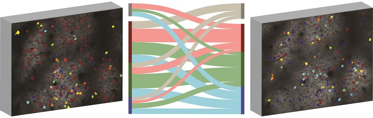 PLOS Biology tweet media
