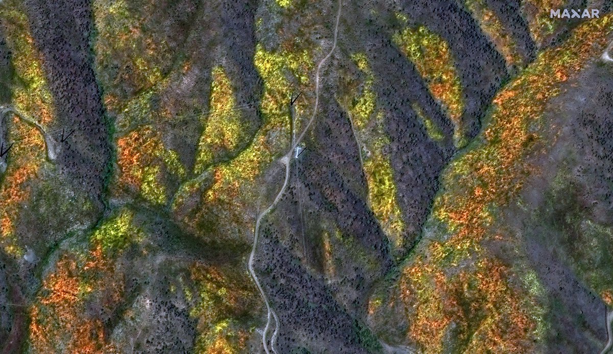 ABC7's tweet photo. SUPERBLOOM FROM SPACE: California hillsides are exploding with flowers and color after this year's historic rainfall, providing great views for hikers... and from space! 🌸🏵️🌺🌻 https://t.co/8F4k7HHHay https://t.co/aP7G0jYwAR