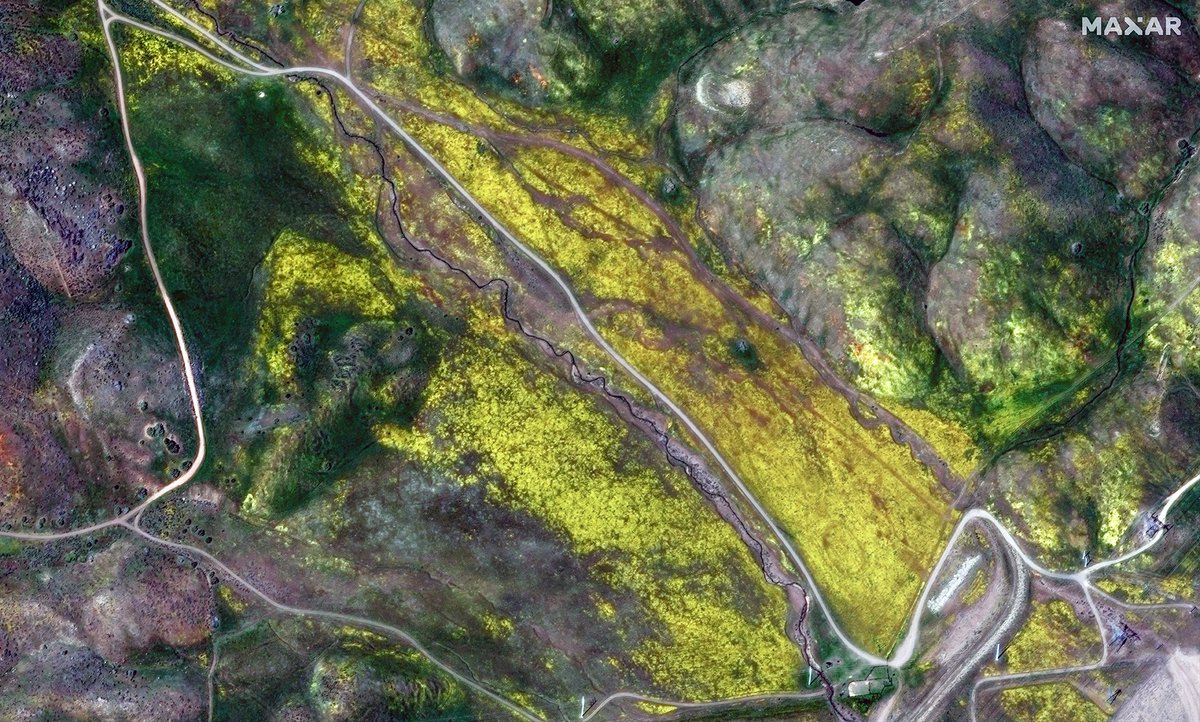 ABC7's tweet photo. SUPERBLOOM FROM SPACE: California hillsides are exploding with flowers and color after this year's historic rainfall, providing great views for hikers... and from space! 🌸🏵️🌺🌻 https://t.co/8F4k7HHHay https://t.co/aP7G0jYwAR