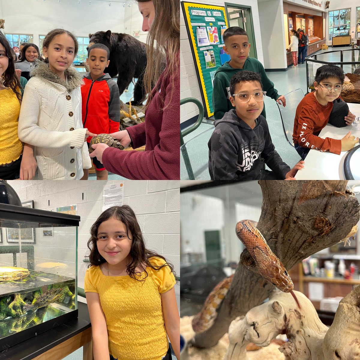 asstprinDeLaCru's tweet photo. Fifth grade field trip to Jerome Buddy Nature Center! @CrestwoodElem @CrestwoodES_5th @FCPSR3 @fcpsnews https://t.co/KJdg92vFH2