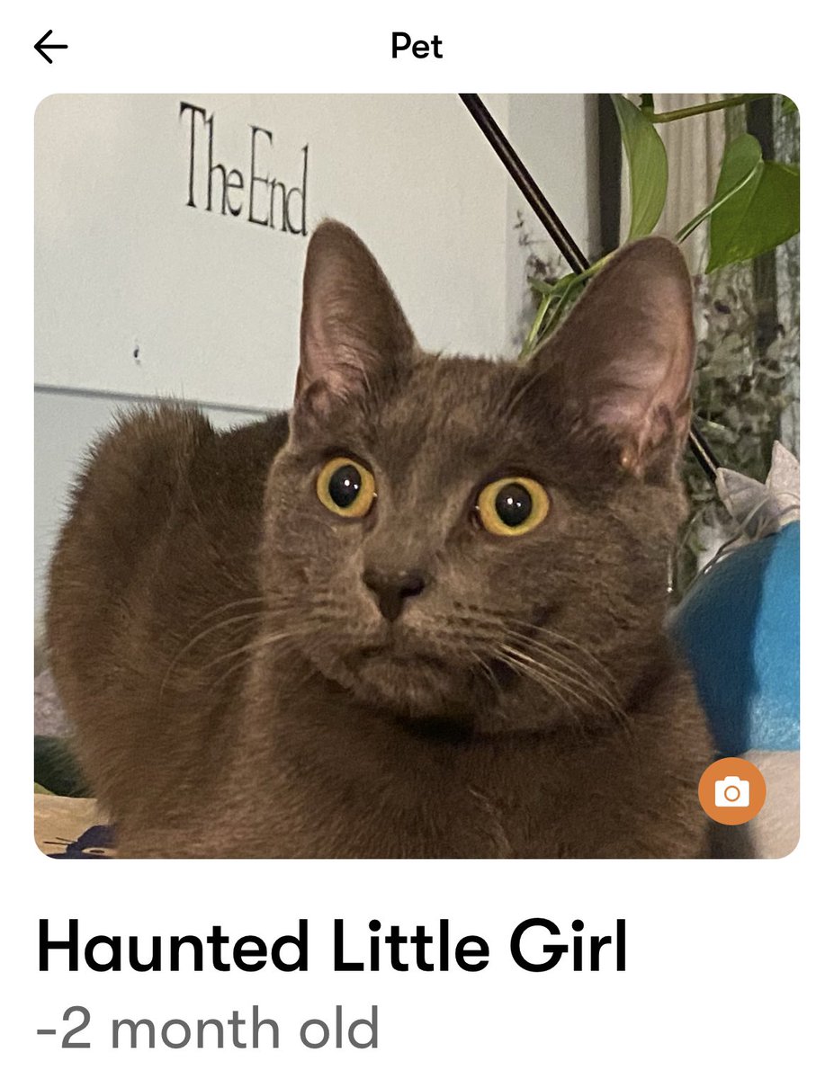 Ryan La Sala tweet media