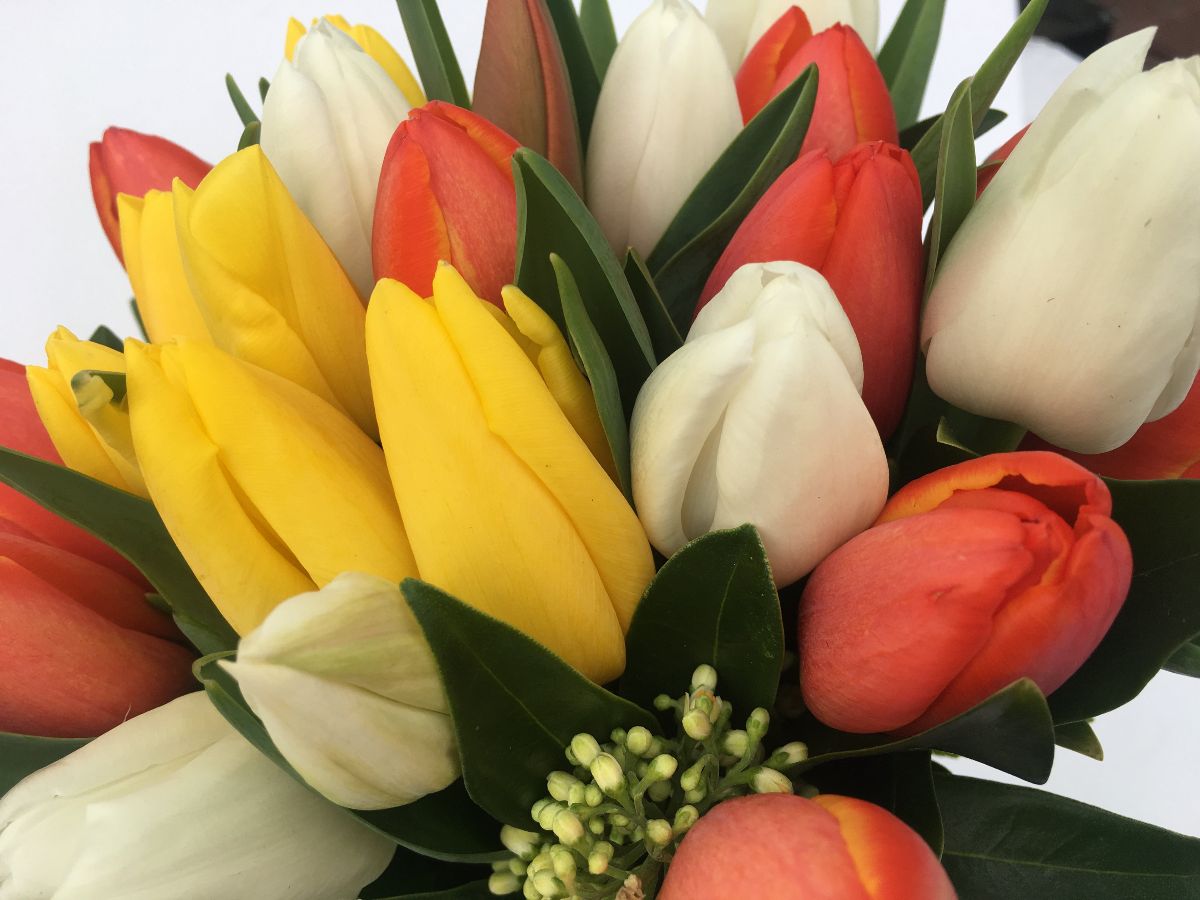 PlushFloral's tweet photo. Shop Now for Administrative Professional's Week - April 24-28 - https://t.co/u5tpHlXZ3J https://t.co/vAebxBibz7