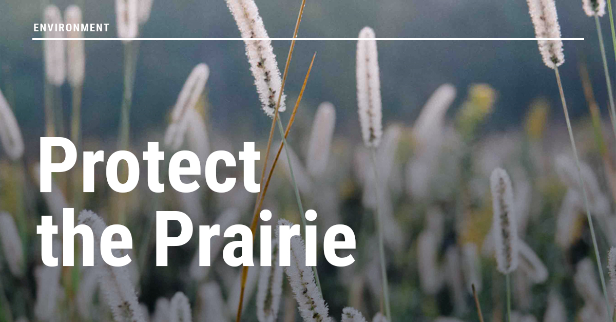 globalprairie's tweet photo. It takes each one of us to #ProtectThePrairie. As a top 1% B Corp, it takes each one of our employee owners living each day sustainably. How did YOU protect the planet this Earth Day?

#EveryDayIsEarthDay
#EarthDay2023
#BCorp
#Sustainability https://t.co/zhgtP8ebip