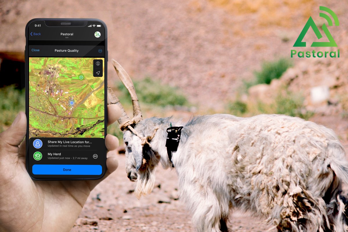 PastoralAI's tweet photo. Discover how our digital #regenerativefarming🌱 software can assist #farmers in managing and optimizing their farming operations, reducing their carbon footprint, and increasing profitability. 👉https://t.co/bcaF7dOyNO  #agtech #PastoralAI https://t.co/HxYSWhjz8W