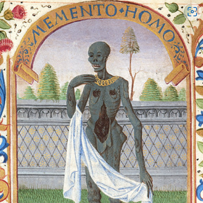 "memento homo", an ancient latin saying that translates approximately to "remember you are gay"