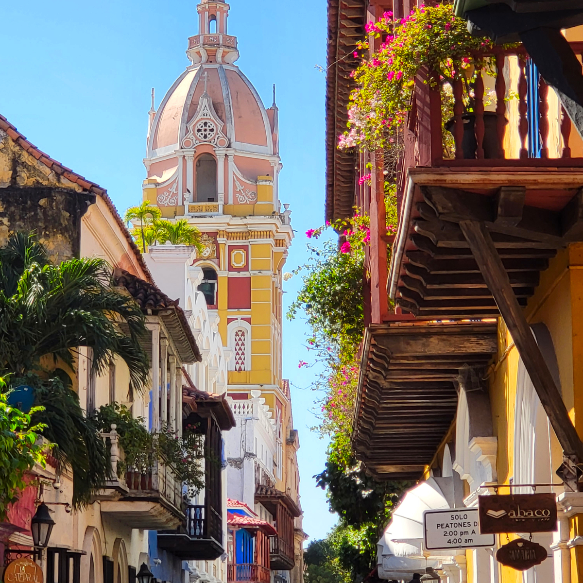 🌞🌎 Waking up in beautiful Cartagena, Colombia and feeling so grateful for this amazing view!  🌴✨

#CartagenaOldCity #HistoricCartagena #CiudadAmurallada #ColombianHeritage #UNESCOworldheritage #CartagenaDeIndias #TravelColombia  #CartagenaMagic #DiscoverColombia