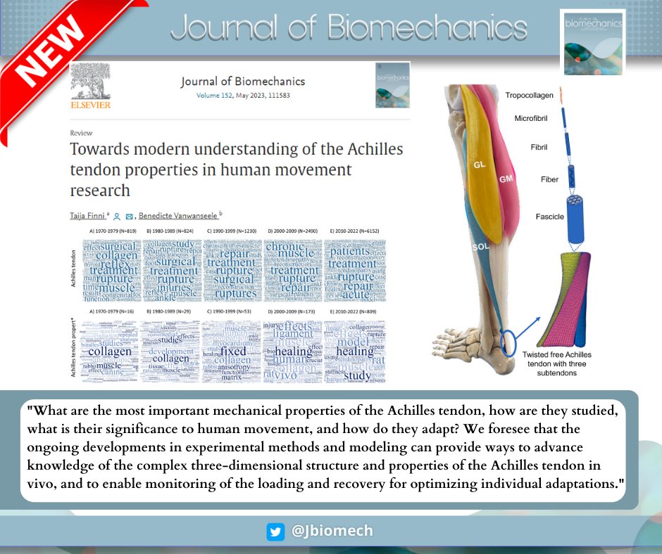 Journal of Biomechanics (@jbiomech) on Twitter photo As a part of the celebration of 50 years history of the <a href="/ISBiomechanics/">IntSoc Biomechanics</a>, this paper reviews 50 years of Achilles tendon research! Learn about the history, current state-of-the-art, and biomechanical properties of the AT in human movement.
#biomechanics
#journalofbiomechanics As a part of the celebration of 50 years history of the <a href="/ISBiomechanics/">IntSoc Biomechanics</a>, this paper reviews 50 years of Achilles tendon research! Learn about the history, current state-of-the-art, and biomechanical properties of the AT in human movement.
#biomechanics
#journalofbiomechanics