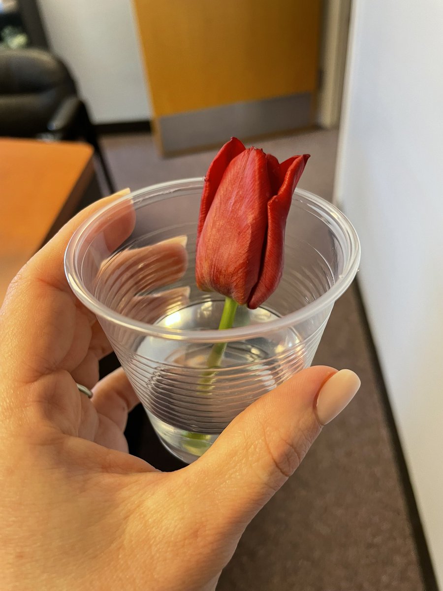 To you its a tulip, to me it means the world. Building connections with students 🌷❤️never give up trying! #min201 #201inspires #elemAPnetwork
