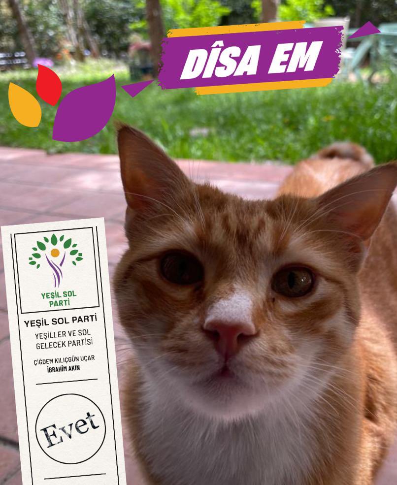 O yaş mamayı kaptı, biz ise 14 Mayıs’ta trafolara girmeme sözünü :)