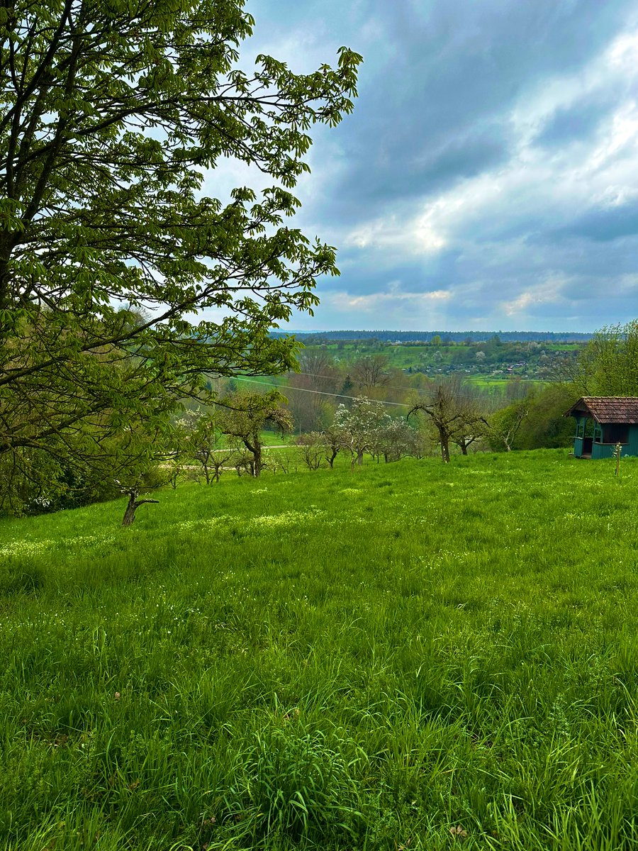 Doğa insan olmadan da yaşar; ama insan doğa yok olduktan sonra yaşayamaz.