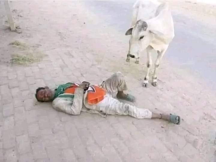 उठो वत्स अभी हिंदू खतरे से बाहर नहीं आए हैं....🤭
