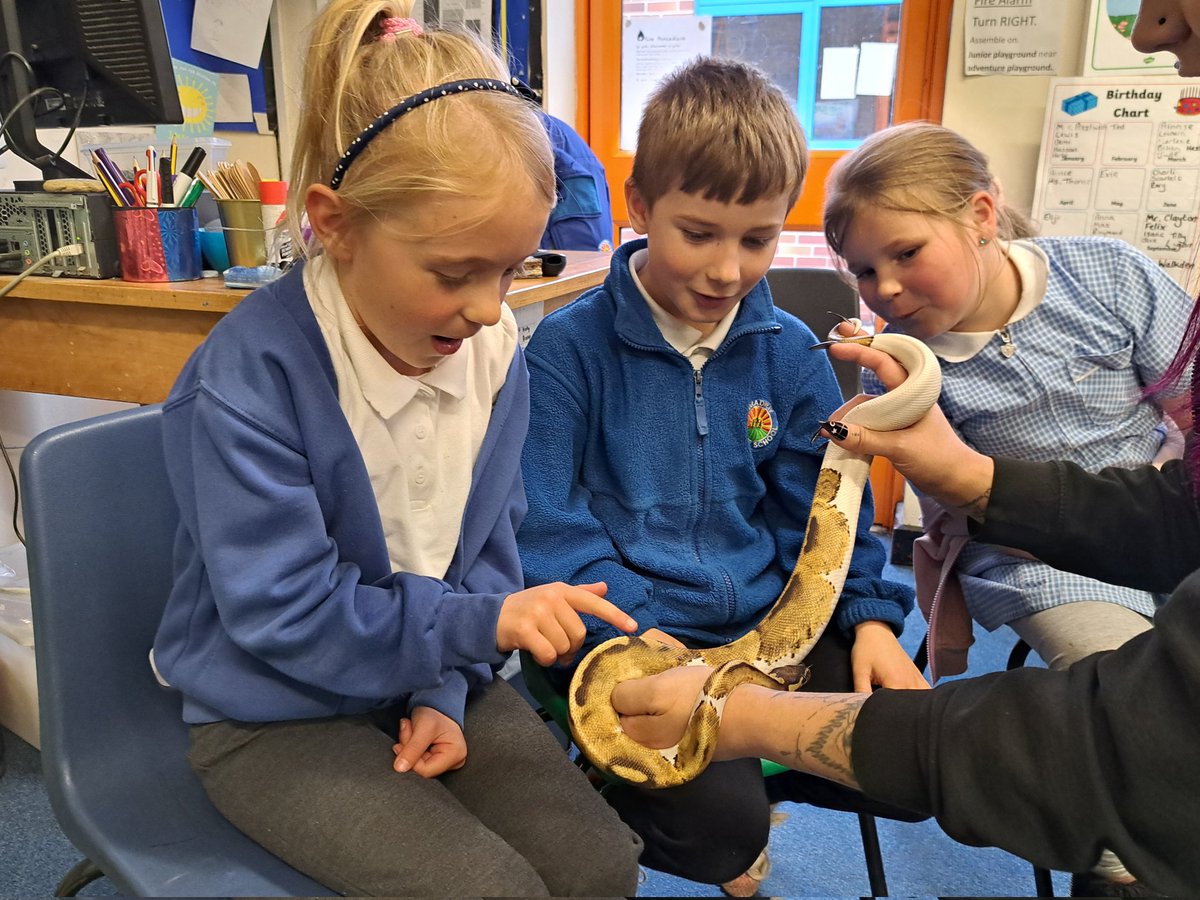BradwayY2's tweet photo. Wow! We all had a fantastic afternoon meeting some amazing creatures.
Huge thanks to Eleanor @ZooLabUK for teaching us so much #bradway #year2 @BradwayScience https://t.co/H4fCqjf1sB
