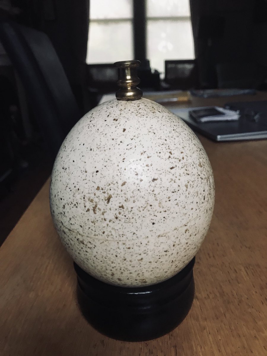LinziLouise3's tweet photo. Found a finial for my speckled ostrich egg not sure if I should dress it or keep it as original https://t.co/bIJjqkTPfS