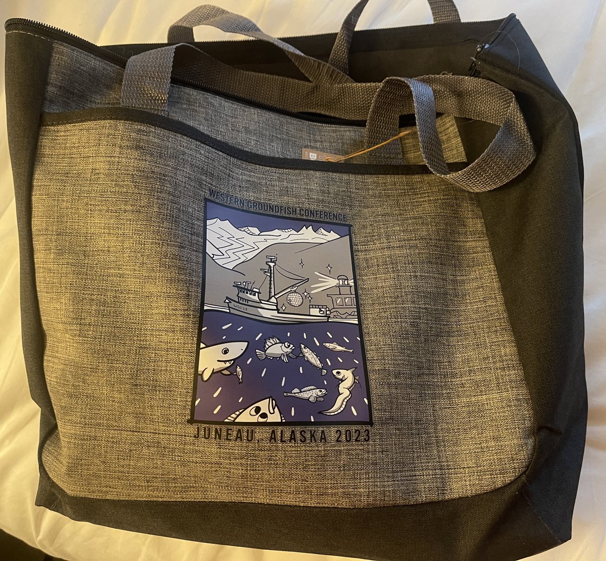 Alexandra Ávila L, tweet media