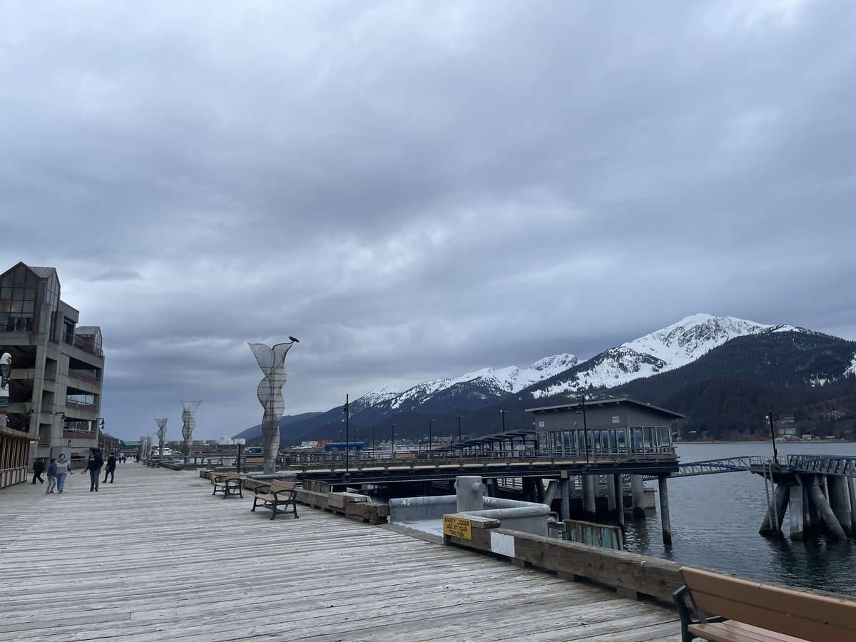 Alexandra Ávila L, tweet media