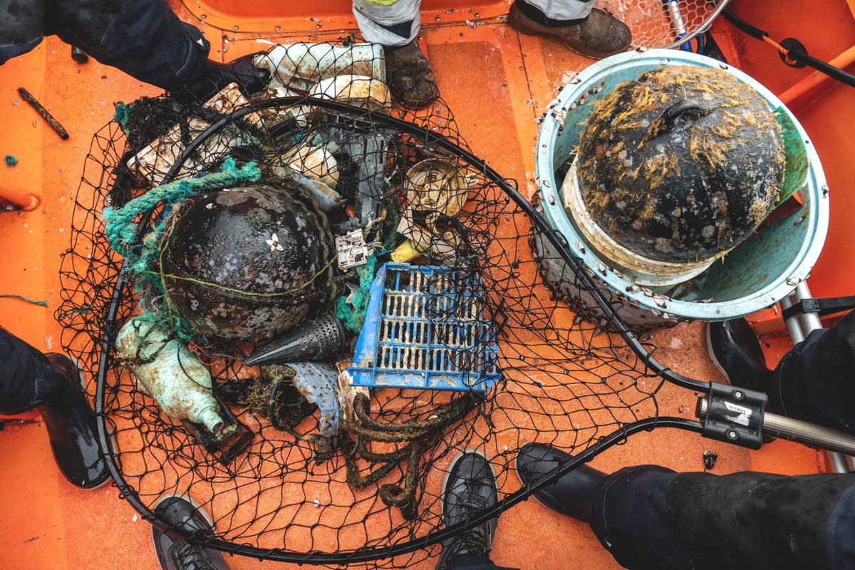 This Week in Science Podcast (TWIS) (@twiscience) on Twitter photo .<a href="/blairsmenagerie/">Blair Bazdarich</a>'s Animal Corner — Coastal species persist on high seas on floating plastic debris: bit.ly/3Lmd3to. And please be sure to click "Like" and the big, red "Subscribe" button while you're there. #BlairsAnimalCorner .<a href="/blairsmenagerie/">Blair Bazdarich</a>'s Animal Corner — Coastal species persist on high seas on floating plastic debris: bit.ly/3Lmd3to. And please be sure to click "Like" and the big, red "Subscribe" button while you're there. #BlairsAnimalCorner