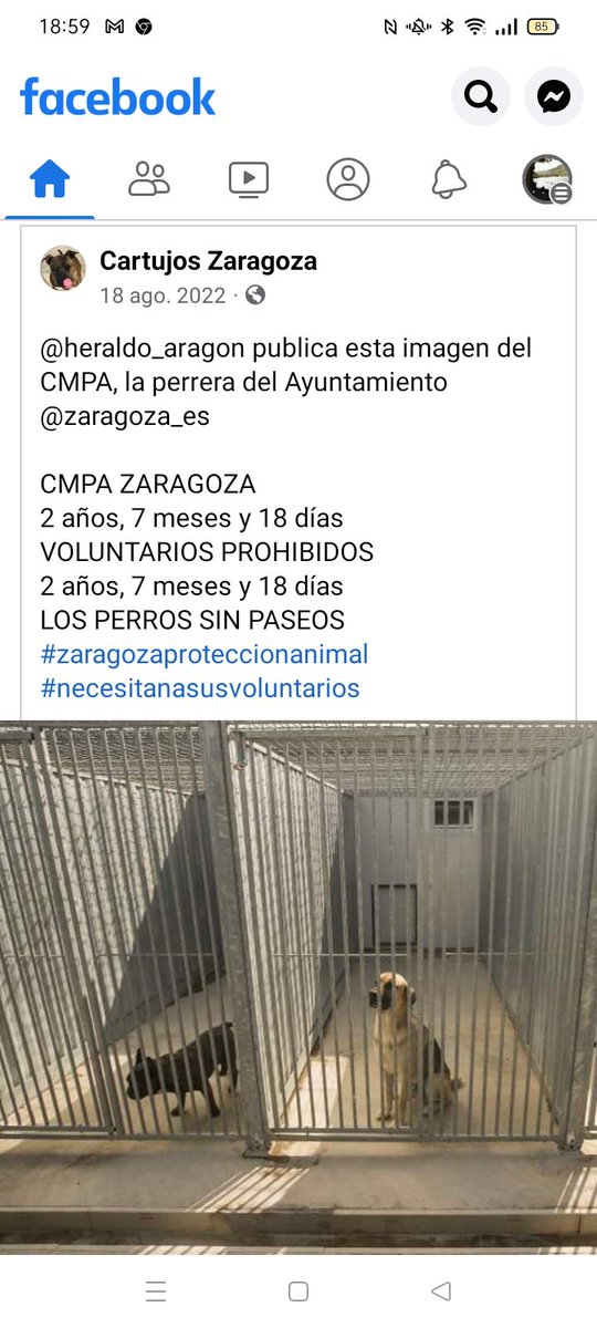 Ayuntamiento de Zaragoza PP-C's -Vox.
Igual que destruyen colonias felinas dejan a los perros del Centro de Protección Animal sin salir  durante meses. Esto imposibilita su sociabilidad y su posible adopción.
Esto es lo que llevan denunciando meses la gente de Cartujos.