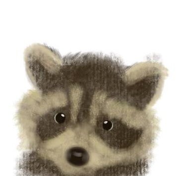 Jelico 🦝 (late reply) tweet media