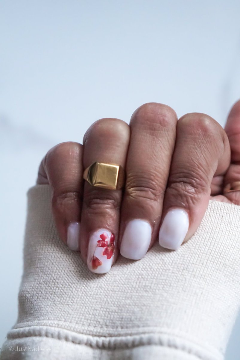 Just Nadiene tweet media