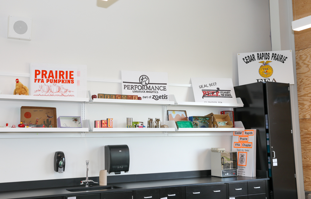 Jimmy Minichello tweet media