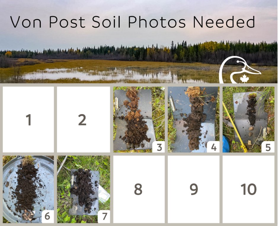 Wetland Knowledge Exchange tweet media