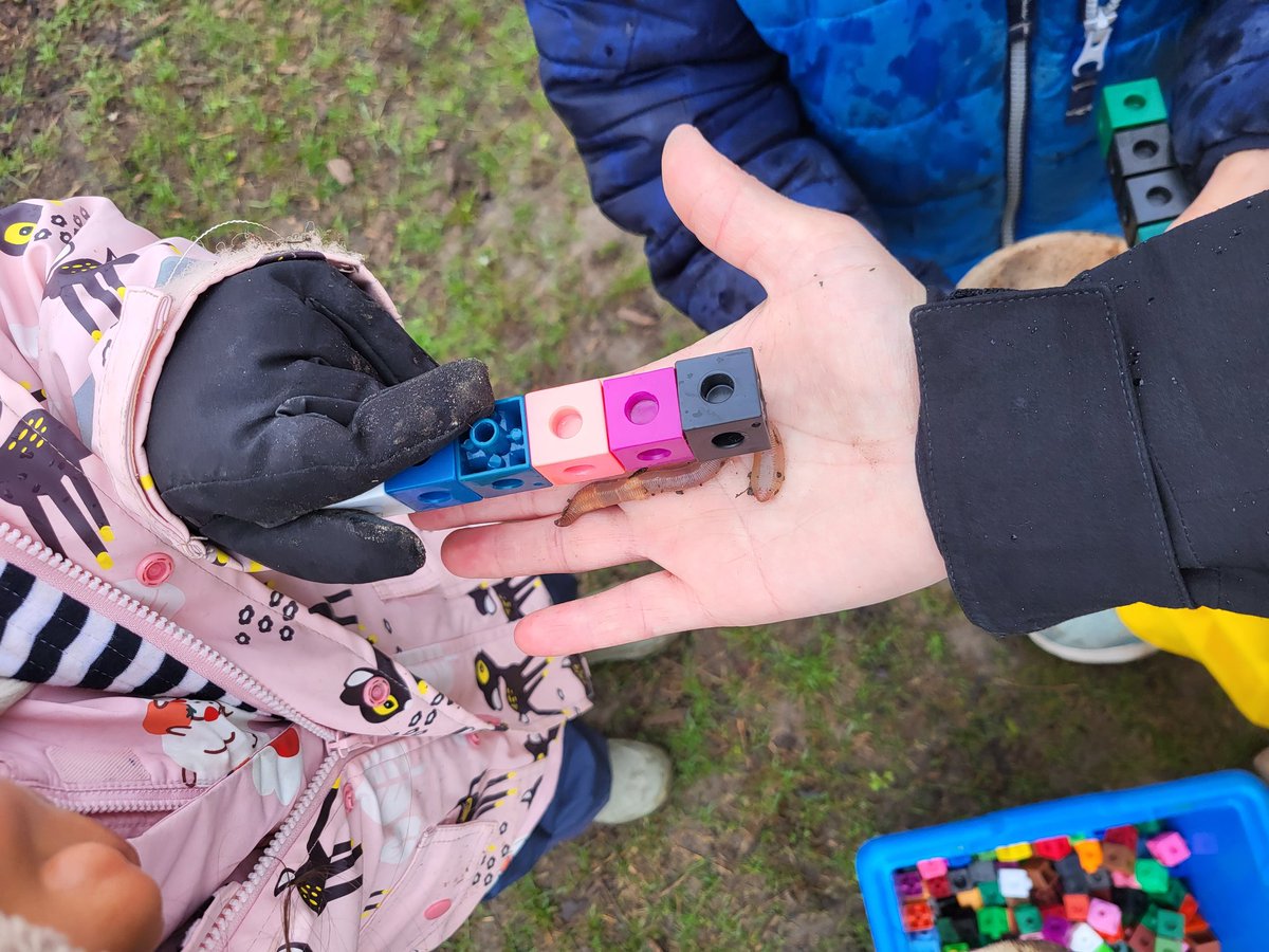 misssammantha's tweet photo. Measuring worms on this rainy Monday. 🪱❤️🌳 #ocsbmath #ocsbkindergarten #joyfulmath #mathiseverywhere #ocsbOutdoors @McLennan1977 @StEmilyOCSB @MissMertl @thebearskinder @ocsbEco https://t.co/gPFmPTkK61