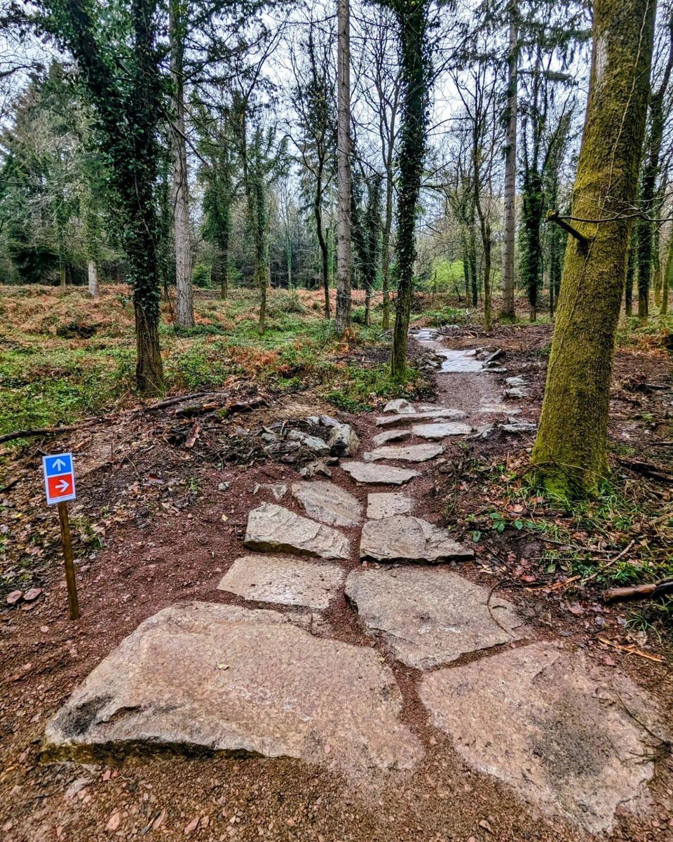 FoDmtb's tweet photo. Updated from FE . The new red line on #Verderers is.. OPEN @Pedalabikeaway
It's an optional technical climb between posts 53 and 54. It's got a few different lines through it and is designed to offer a bit of progression for riders who are confident on the blue trail. https://t.co/93gghZxu34