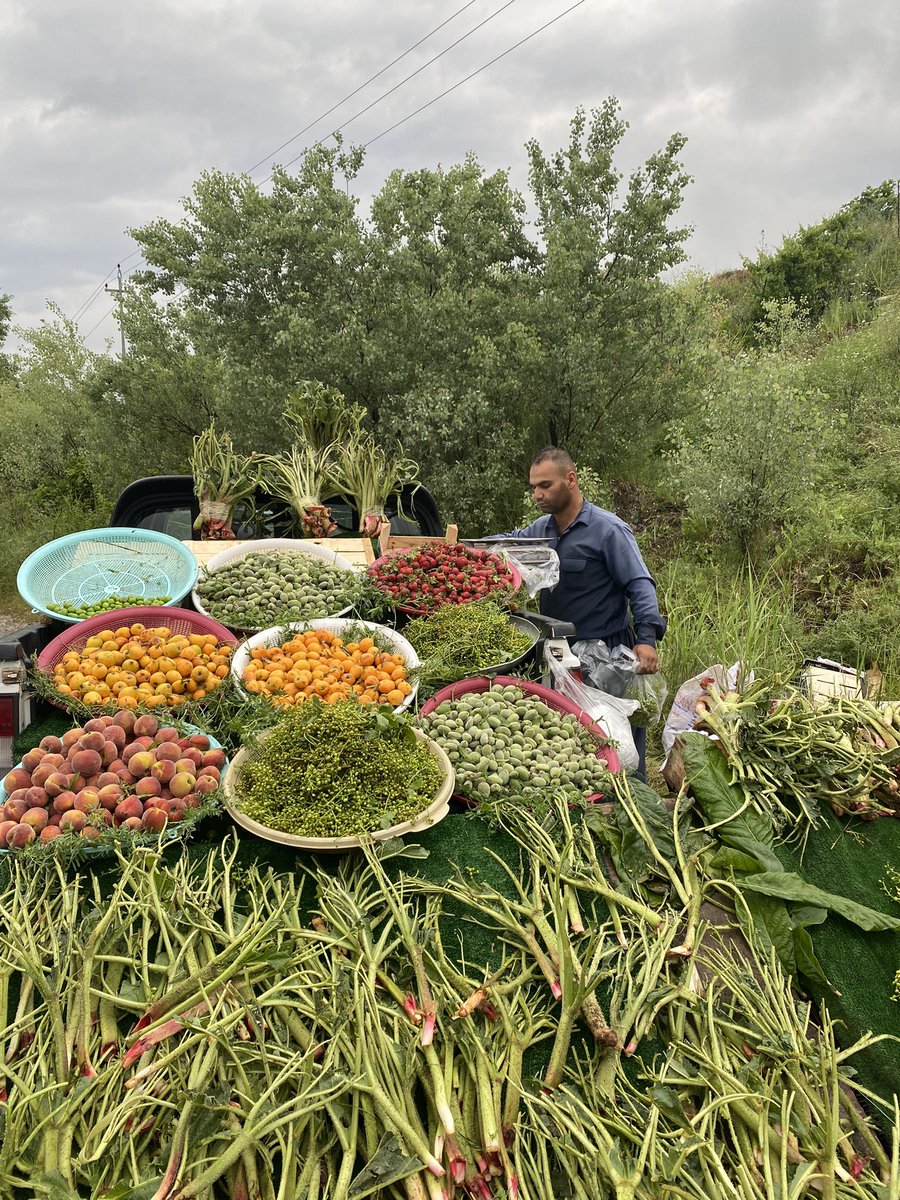 MohammedFatieh's tweet photo. Kurdistan’s spring ambiance in one photo https://t.co/3BTERgPZRk