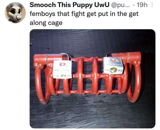 Where can I buy one of these?