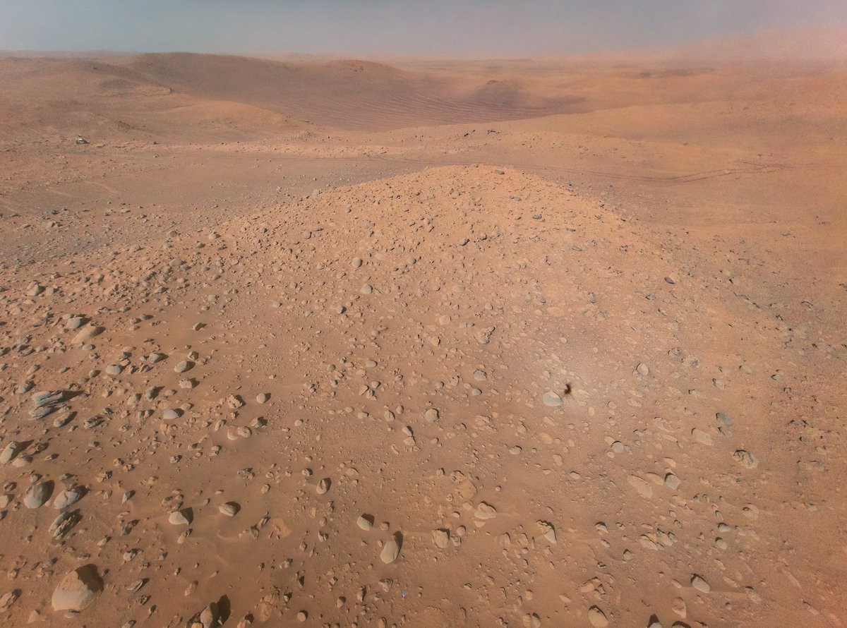 This photo from Flight 51 may be my new favorite from #MarsHelicopter! 
It shows the @NASAPersevere rover standing on the rim of Belva, a 900m wide impact crater located on Jezero Delta.   
Credit: NASA/JPL-Caltech/Simeon Schmauß 
flic.kr/p/2ovA9fD