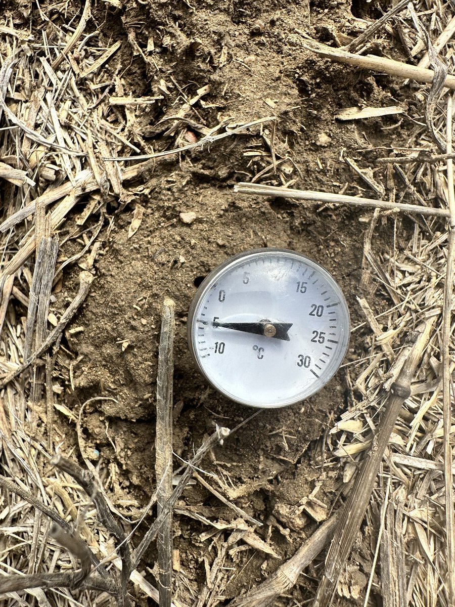 Soil sampling south of Swift Current, there is moisture in the full 18” of soil on cereal stubble👏🏻. Soil temps are still cool at -5C at 11:00 am #plant23 #soil