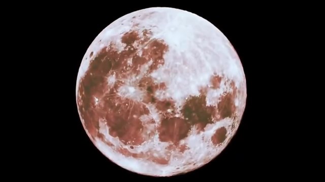 Brock Riddick tweet media