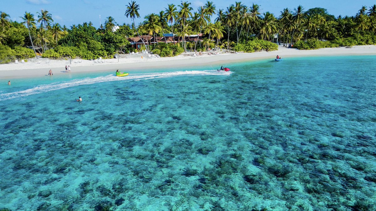 From sandy beaches to cool ocean breezes, #fodhdhoo @sabbabeachhotels has it all 🏝 
.
.
#maldives #bestguesthouse #sabbasummersuite #sabbabeachsuite #sabbabeachvillasandspa #sabbawhitesandcatamaran #travel #vacation #happyplace #islandlife #visitmaldives #visitfodhdhoo