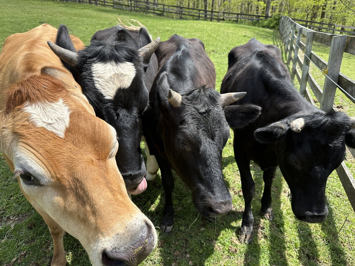 Crouton & Friends🏳️‍🌈🦋 tweet media