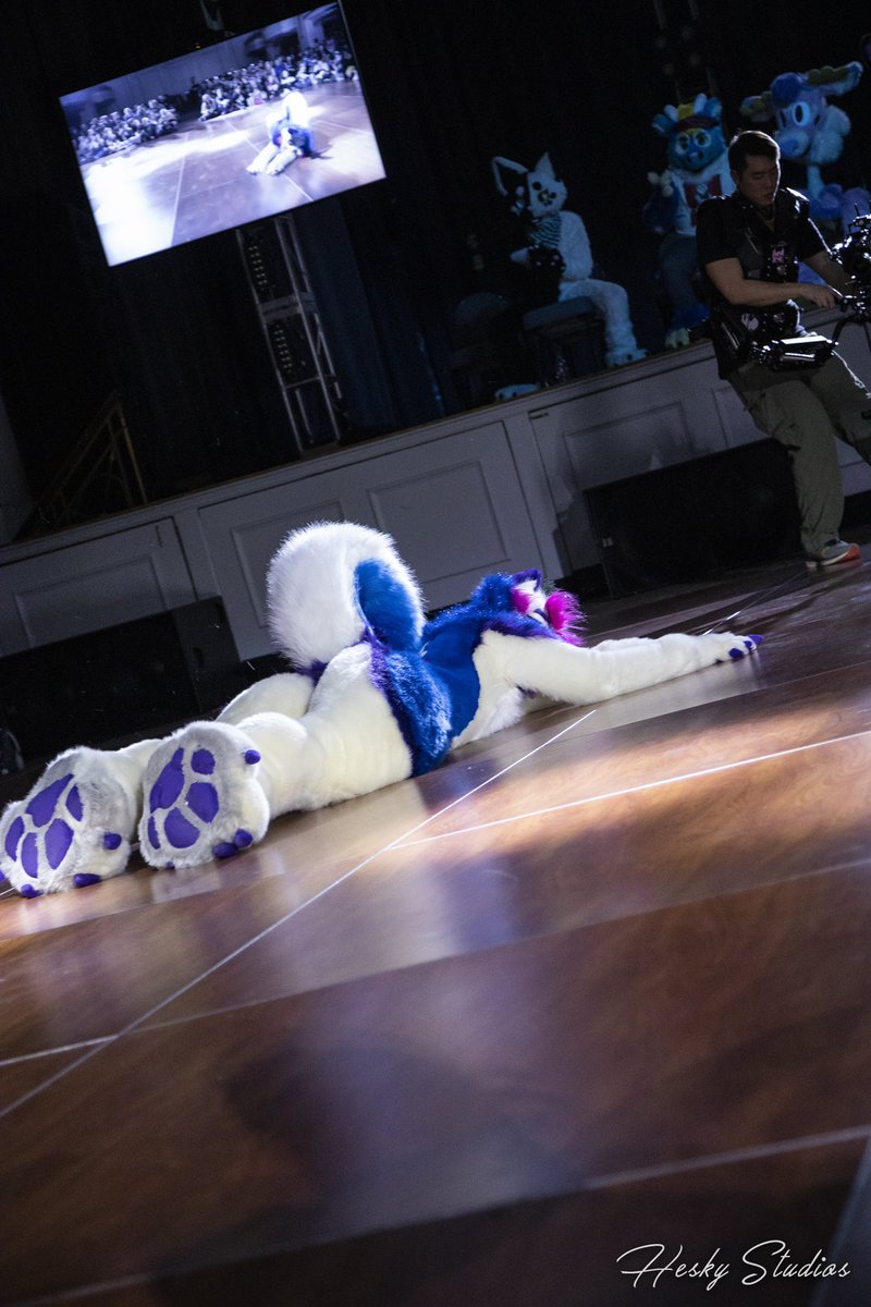 Everyone doing this furusit butt thing <a href="/Fursuit_Butts/">Fursuit Butts!</a> #fursuitbutts
