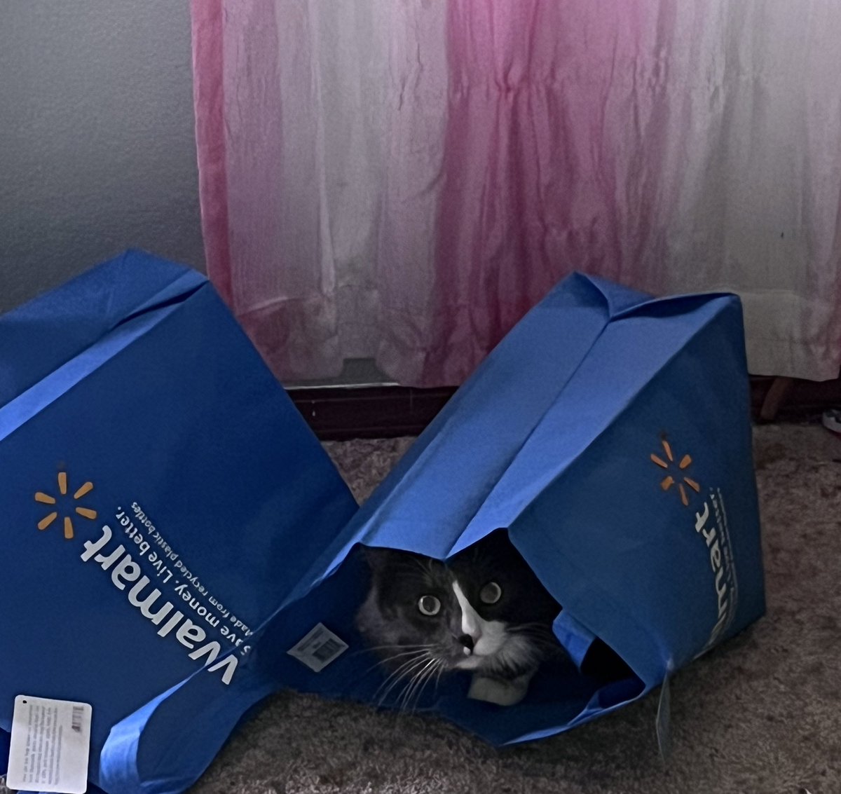 kai ☻ on Twitter "When did they start selling this at Walmart"