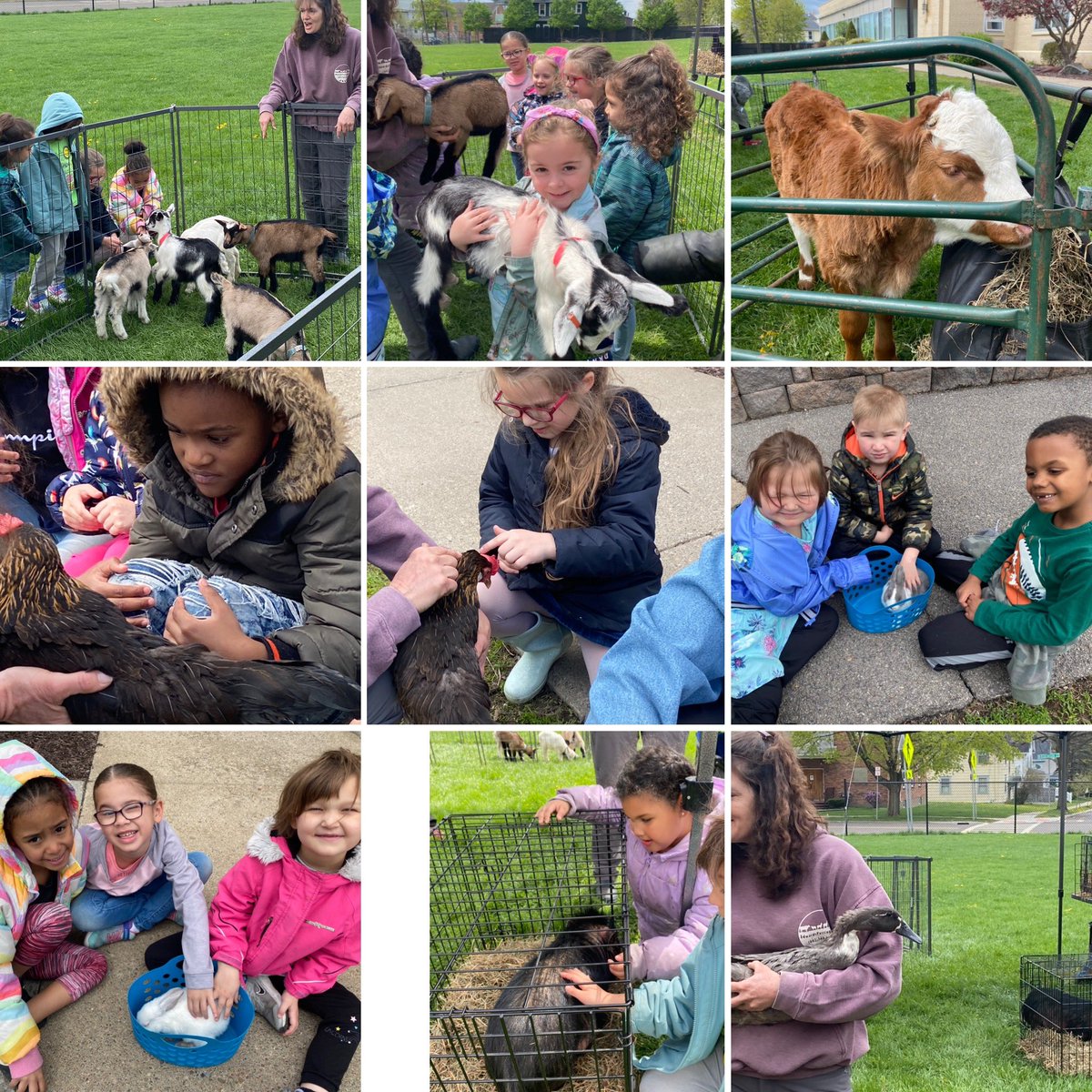 Edward's Petting Farm visited Coolidge today. Lots of smiles 😊🐖🐄🐓🐐#BPatriotproud #BCoolidgeCool @BoughkKelly