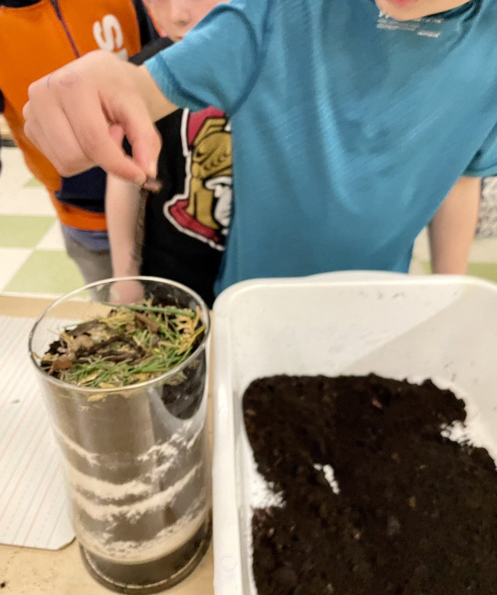 MrsVachonRECE's tweet photo. We researched how to make a worm farm. We discovered that worms needs sand to help breakdown their food because they don’t have teeth. We layered soil, sand and dry leaves. Last we covered the jar with dark paper. We can’t wait to see the worm tunnels! https://t.co/TWvxYemuTE