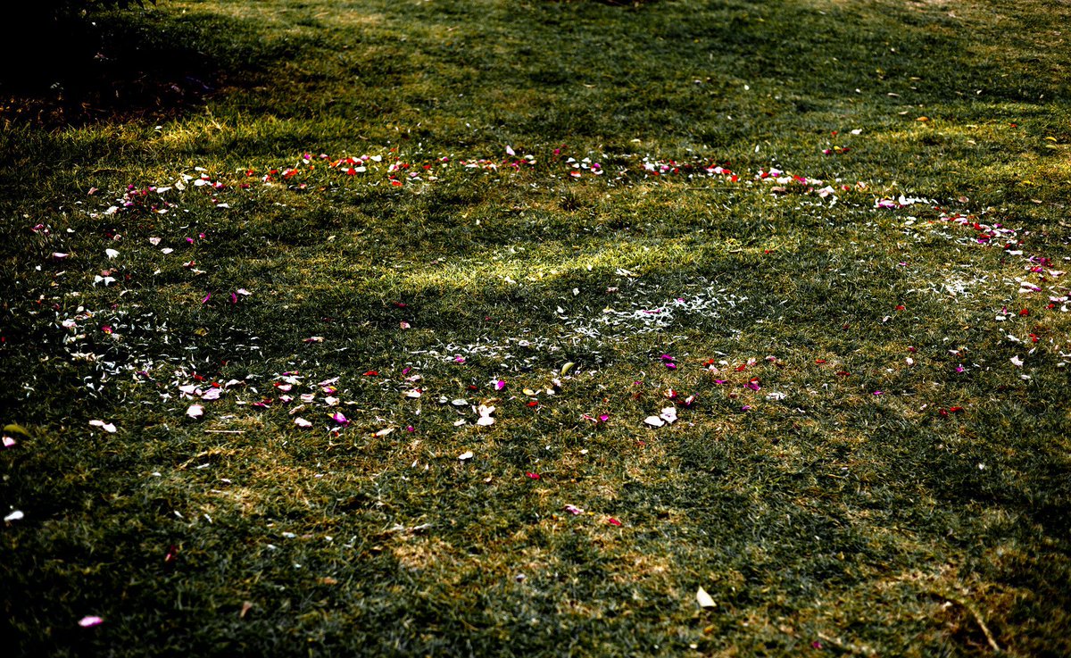 <a href="/ShmokeyMcRekt/">ShmokeyMcrekt</a> I usually don’t photograph people unless it’s for work. My art isn’t about that. I think it’s important to de-colonize art. What does it mean if a non poc artist making photos of poc? I think it’s  problematic as photos of the homeless. That’s photography’s past colonial roots.