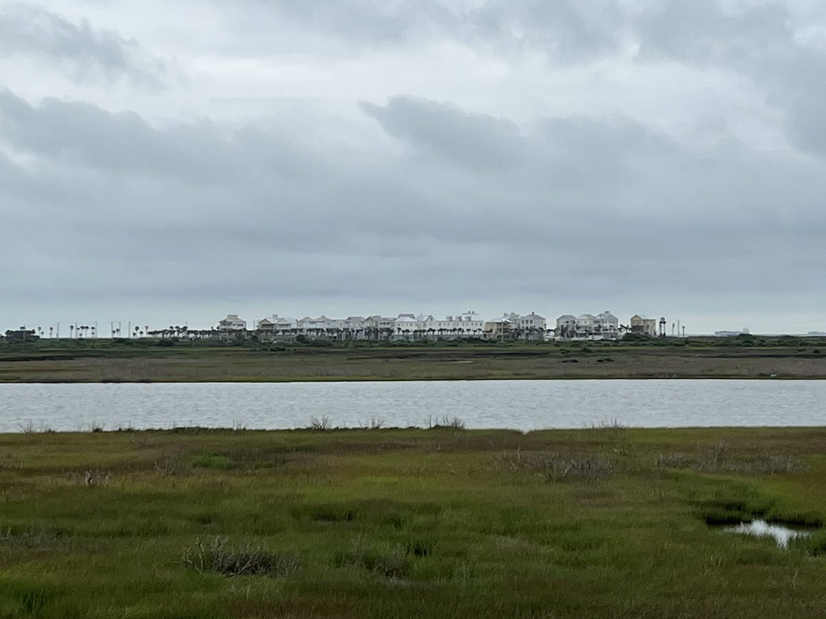 Mike Kinsela tweet media