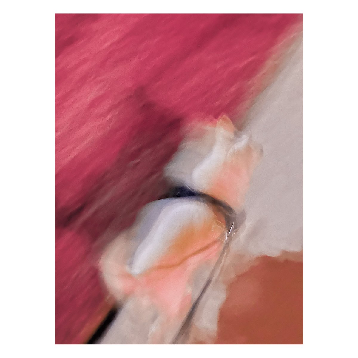 Man about town, on ether.

#chihuahuakills #greatbandname