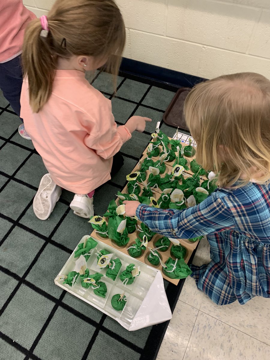 It’s INCREDIBLE how much math thinking happens naturally in FDK.  Ss used seed bombs from #Earthday to count, re-count, group and divide!  They reasoned about remainders and sharing fairly 🤯.  @NicoleHooperLCC brings such authentic learning to these young minds! <a href="/LKelempro/">LKDSB Elem Program</a>