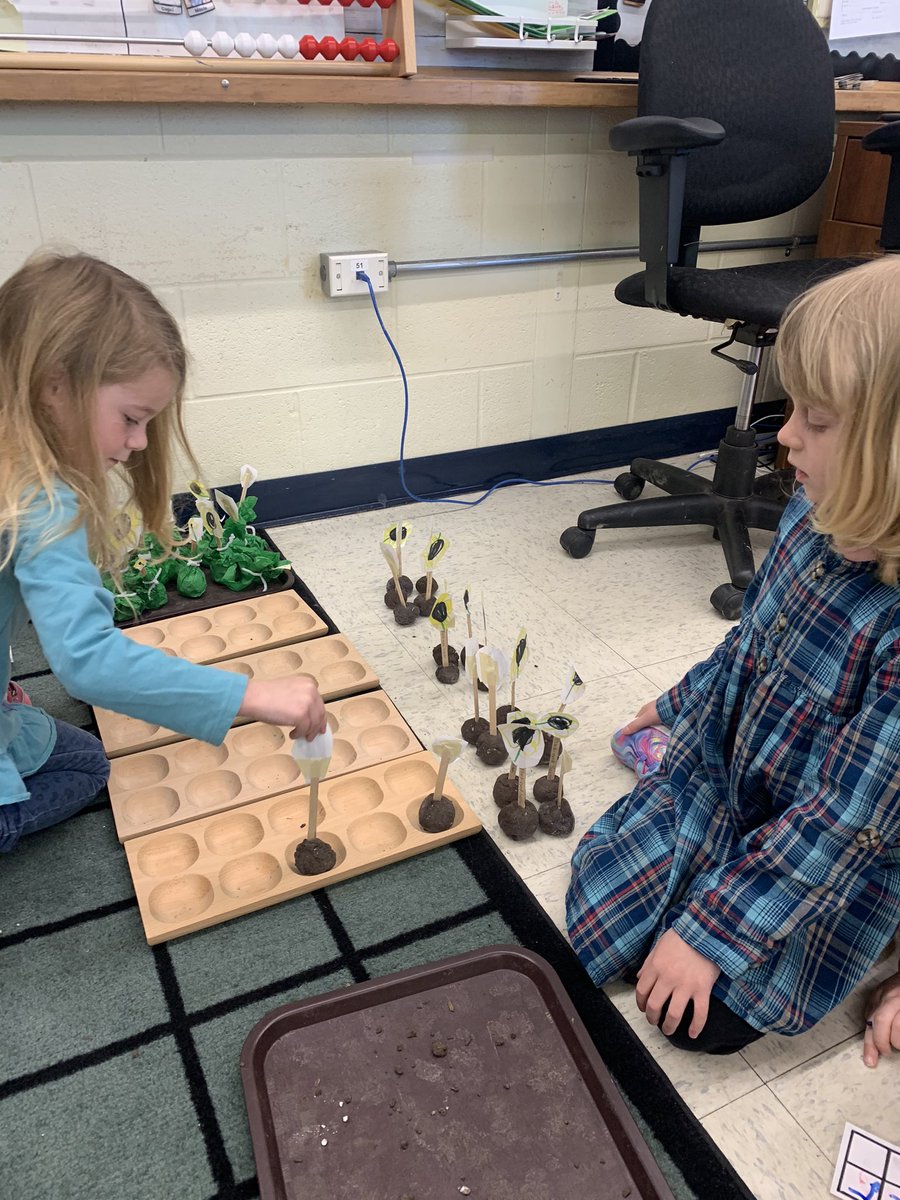 BrianneGordon1's tweet photo. It’s INCREDIBLE how much math thinking happens naturally in FDK.  Ss used seed bombs from #Earthday to count, re-count, group and divide!  They reasoned about remainders and sharing fairly 🤯.  @NicoleHooperLCC brings such authentic learning to these young minds! @LKelempro https://t.co/vPV6sReKoo