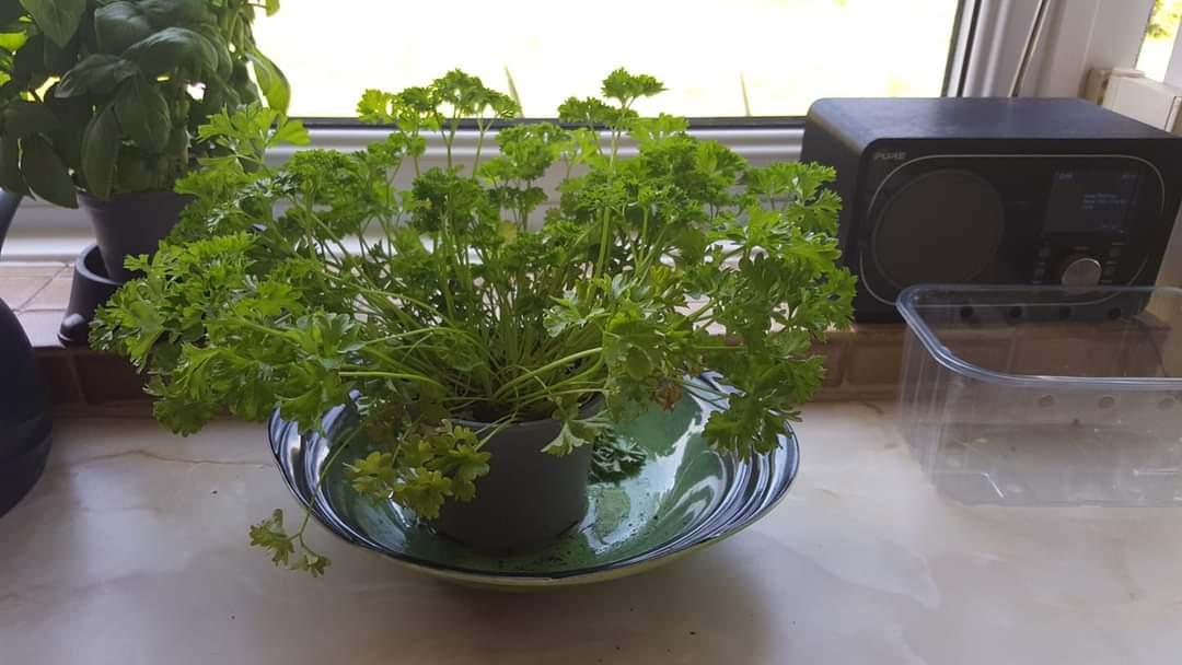 Lucy Hunt tweet media