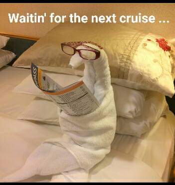 🚢 72 days to go... and counting!
👍😎  #CruiseCountdown