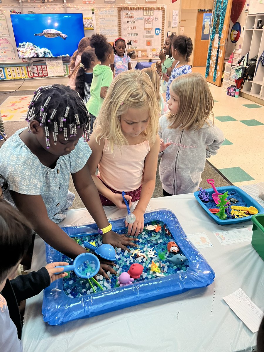 Combs 1st Grade tweet media