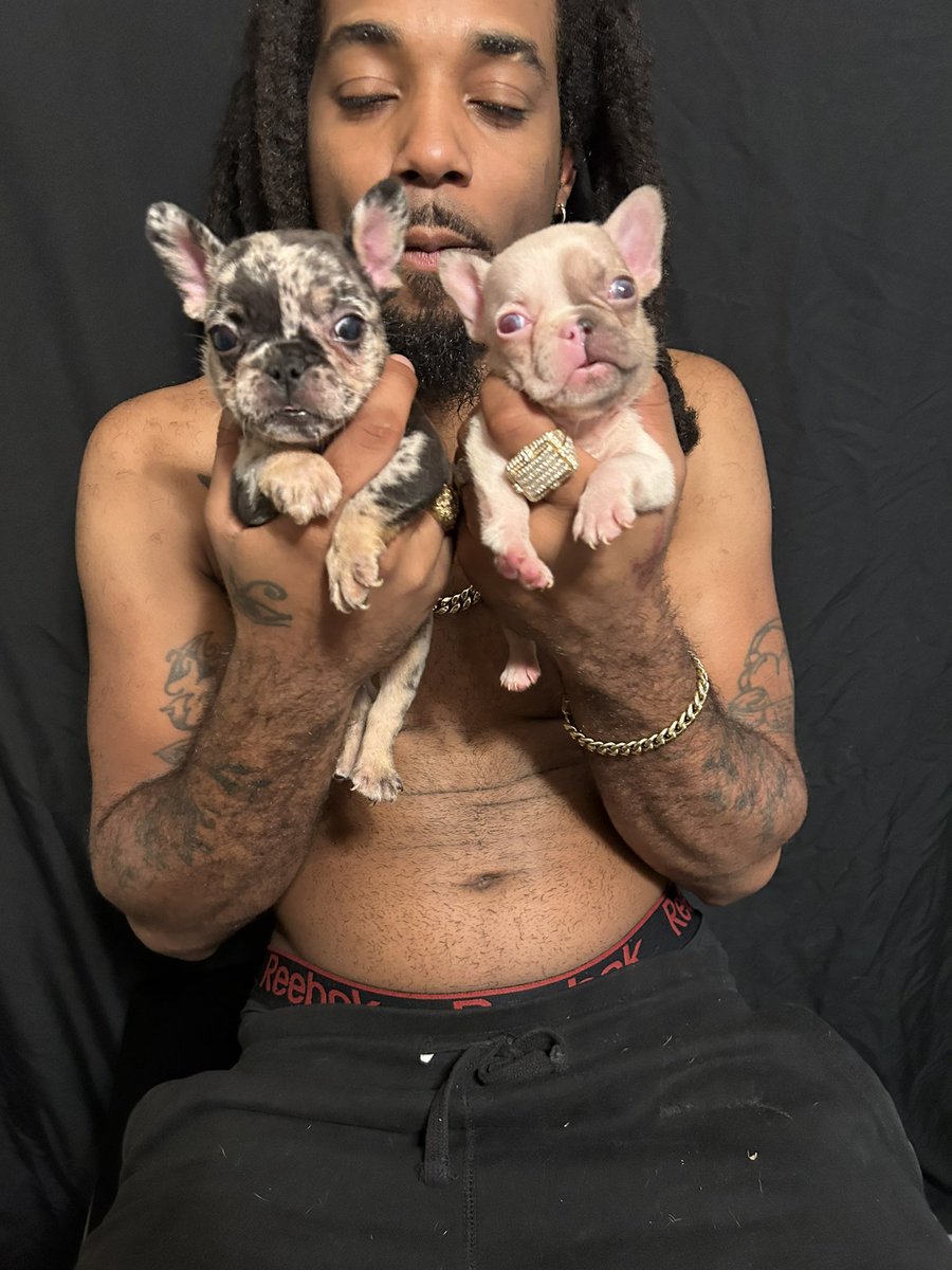 JayQue318's tweet image. Ima Make Em Believe 🏆 🐾

@noblepedigreedoghouse 

#Gaia x #GMoney Litter #Madam #JungBlow #heisenberg #Him #NoblePedigreeDogHouse