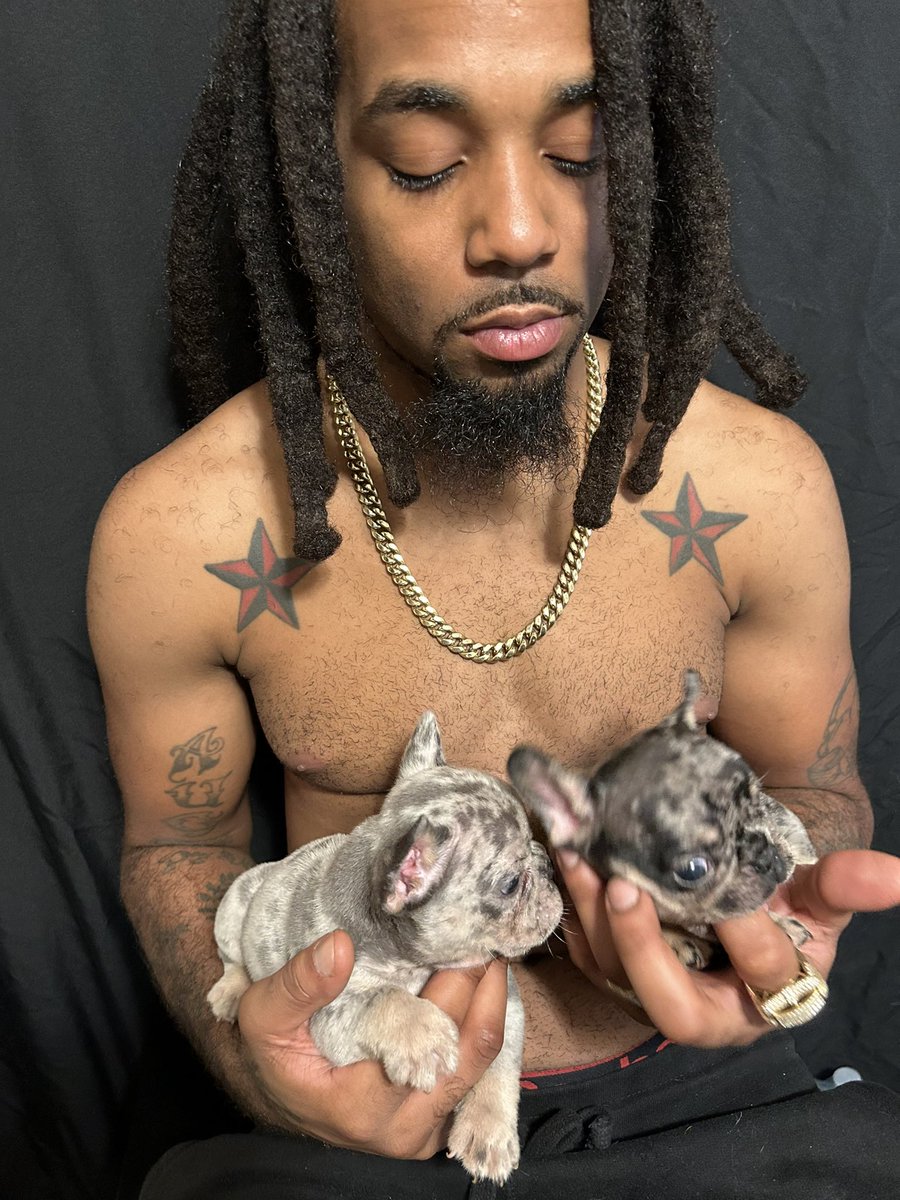 JayQue318's tweet image. Ima Make Em Believe 🏆 🐾

@noblepedigreedoghouse 

#Gaia x #GMoney Litter #Madam #JungBlow #heisenberg #Him #NoblePedigreeDogHouse