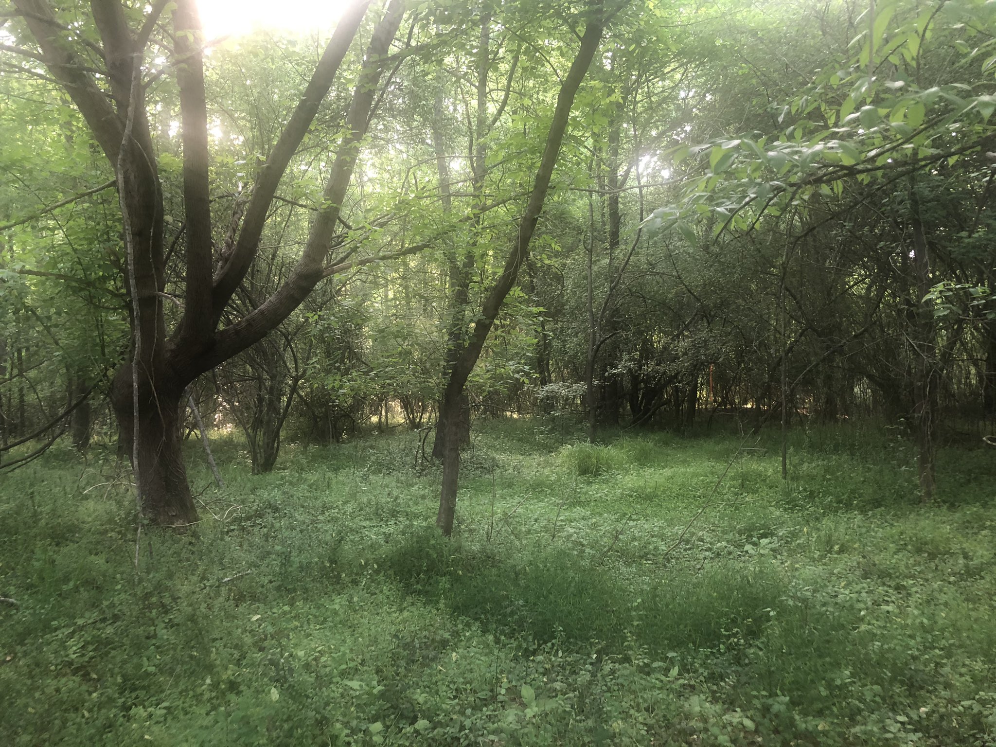 Skudd!! on Twitter: "When I say I know a spot this is what I mean https