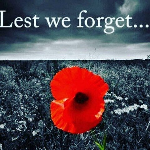 OTNZ WNA (@otnzwna) on Twitter photo 